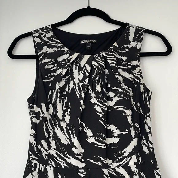 Express Dress - Picture 2 of 5